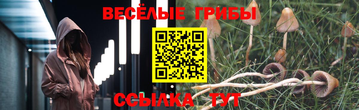 Псилоцибиновые грибы ЛСД Тайшет