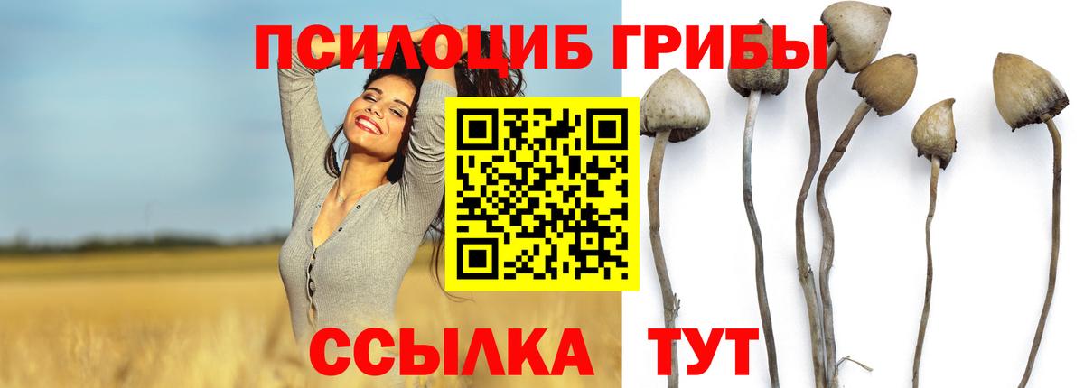 Галлюциногенные грибы Psilocybe  Вход с VPN  Псилоцибиновые грибы Magic Shrooms  Тайшет 